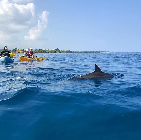 Guided Outrigger Canoe Tour in Kealakekua Bay - Safety, comfort, and the canoe ladder