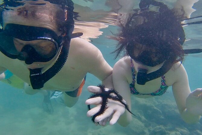Guided Snorkel Tour for Beginners in Honolulu - How this compares with a larger snorkel trip