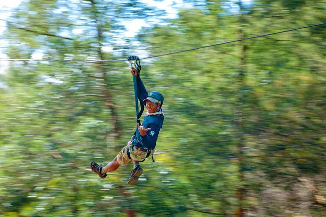 Haleakala 6 Line Zipline Adventure - Key points to know before booking