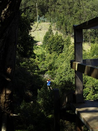 Haleakala 6 Line Zipline Adventure - What the six zipline rides are like