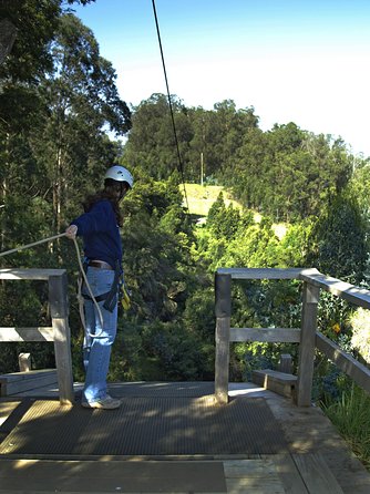 Haleakala 6 Line Zipline Adventure - The guides are a big part of the value