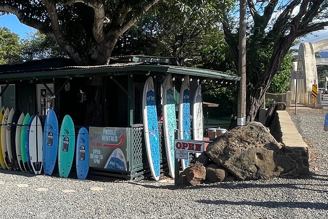 Haleiwa River Paddle Board Rental with Blue Planet Adventure Co. - What the $39.99 Price Really Buys