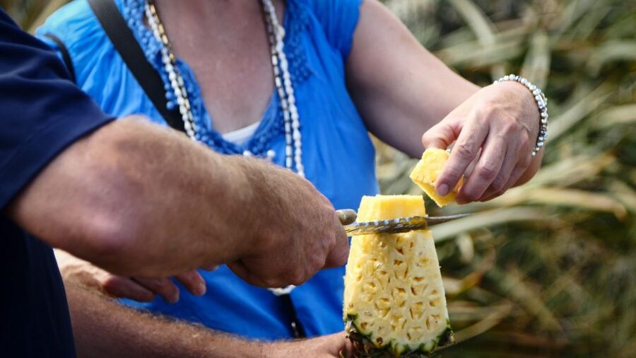 Hali'imaile: Pineapple Farm Tour - Key points at a glance