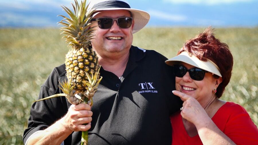 Hali'imaile: Pineapple Farm Tour - Seeing how a pineapple grows