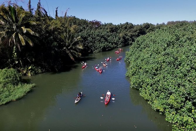 Hanalei Bay Morning Kayak and Snorkel Tour - Forty-five minutes at the beach reef