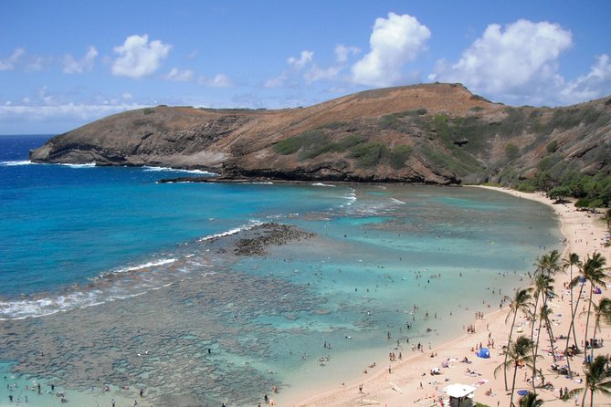 Hanauma Bay Guided Snorkel Tour (with guaranteed entrance time) - What the small group changes in the water