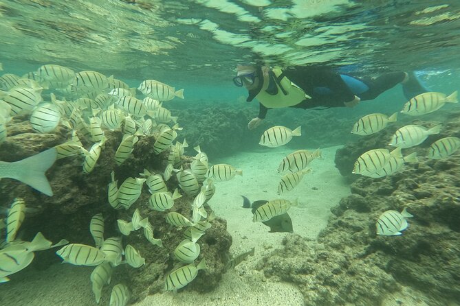 Hanauma Bay Guided Snorkeling Tour with Transportation - The early start gives you a calmer beginning