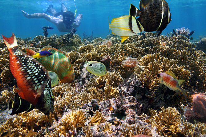 Hanauma Bay Snorkeling - How long you get at the water