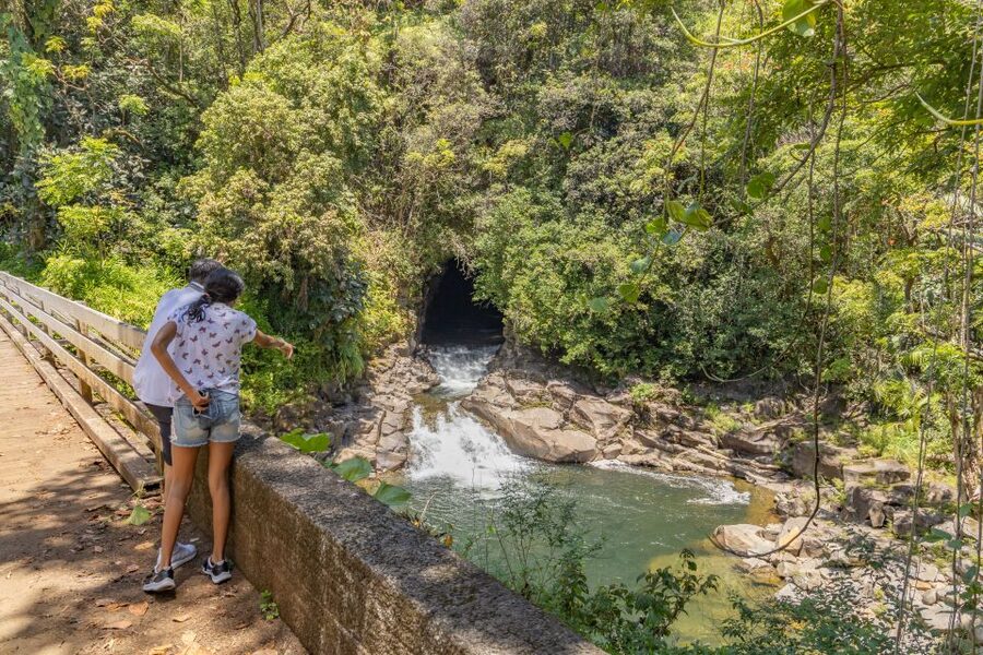 Hawaii: All-Inclusive Volcanoes and Waterfalls Private Tour - Thurston Lava Tube: walking through former fire