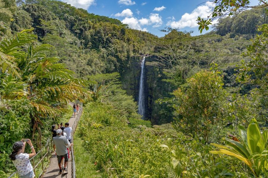 Hawaii: All-Inclusive Volcanoes and Waterfalls Private Tour - What the private format changes