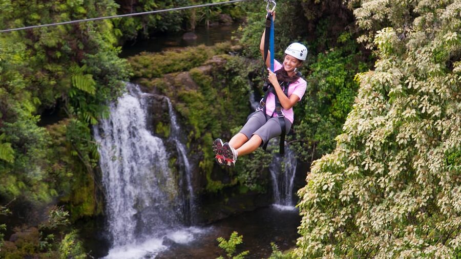 Hawaii: Big Island Hilo Zipline Tour - Is $235 a fair price?
