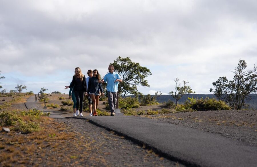 Hawaii: Big Island Volcanoes Day Tour with Dinner and Pickup - Punalu’u Black Sand Beach and turtle watching