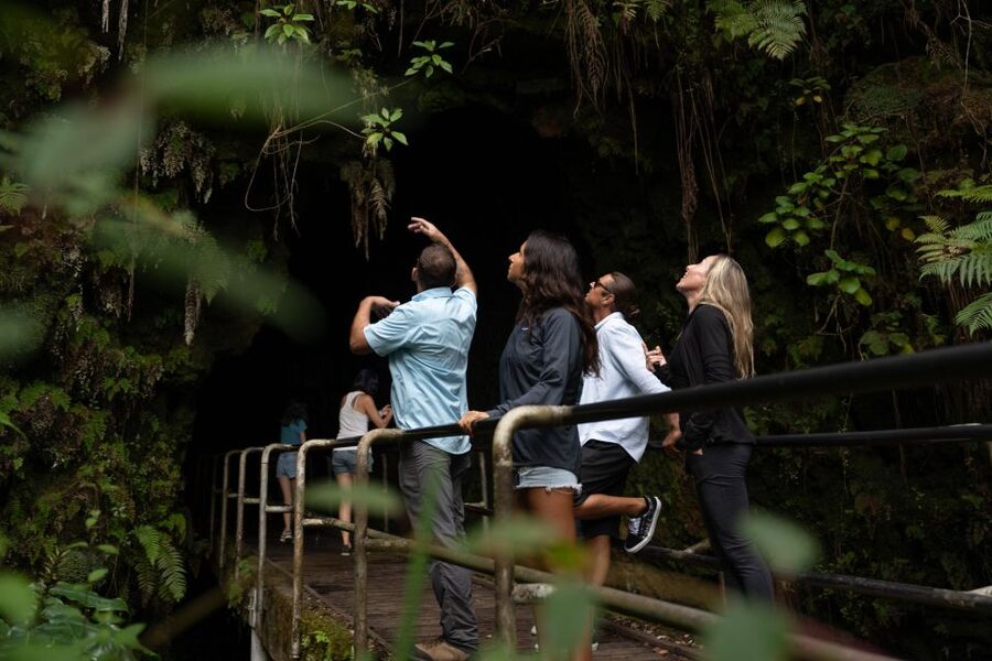 Hawaii: Big Island Volcanoes Day Tour with Dinner and Pickup - Who should book this tour?