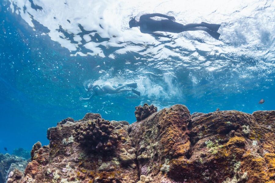 Hawaii: Pu'uhonua O Honaunau & Kealakekua Bay Snorkel Tour - Key points to know before booking
