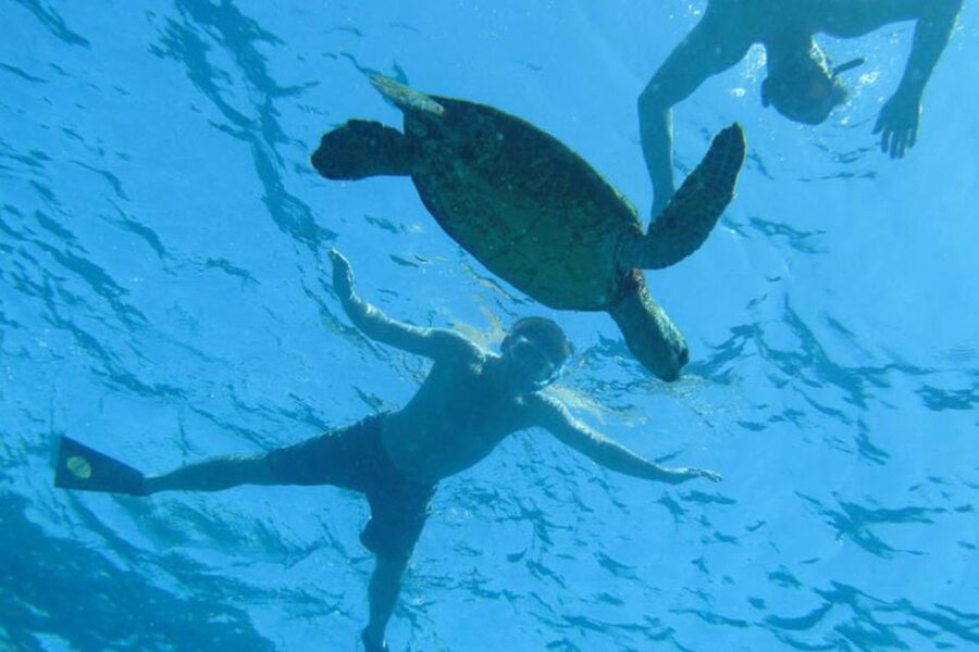 Hawaii: Pu'uhonua O Honaunau & Kealakekua Bay Snorkel Tour - Kealakekua Bay and the Captain Cook monument