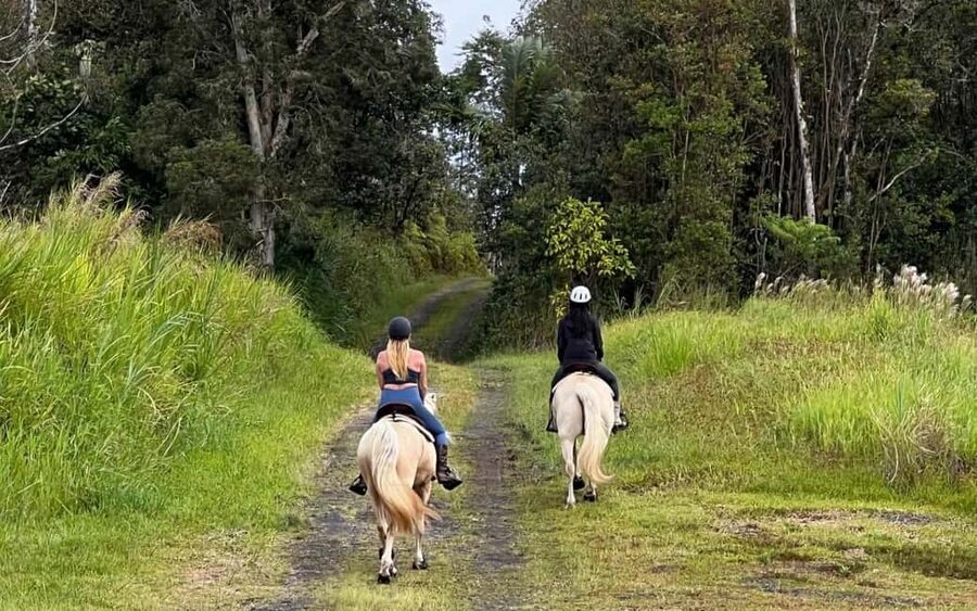 Hawaii: Small Group Rainforest Trail Ride - A quiet horseback route near Wao Kele o Puna
