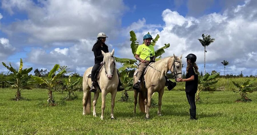Hawaii: Small Group Rainforest Trail Ride - What happens from saddle to rainforest trail