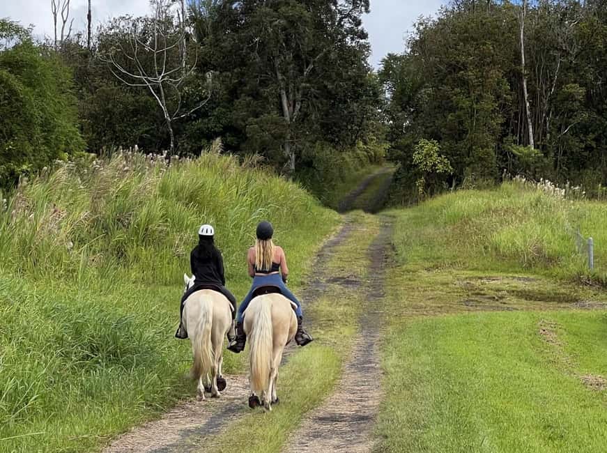 Hawaii: Small Group Rainforest Trail Ride - Photos, drinks, and the ranch finish