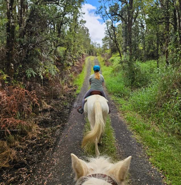 Hawaii: Small Group Rainforest Trail Ride - Should you book the Ola Nani Ranch ride?