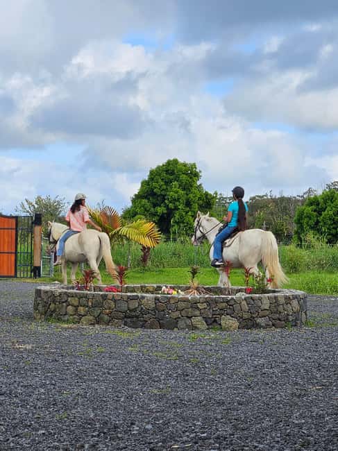 Hawaii: Small Group Rainforest Trail Ride - Why a two-person group matters