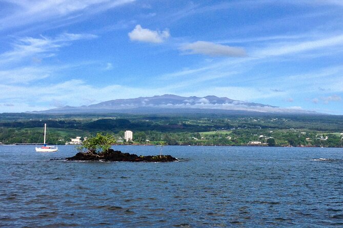 Hawaii Volcanoes National Park and Hilo Highlights Small Group Tour - What the $187.95 price really covers