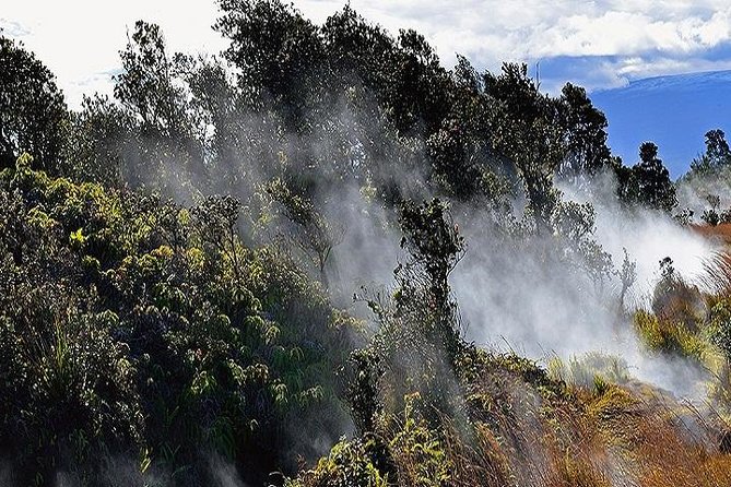 Hawaii Volcanoes National Park Experience Departing from Oahu - Manuka State Wayside Park and native forest
