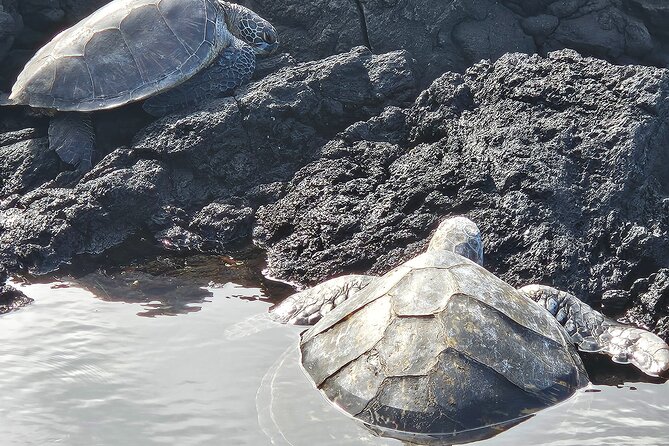Hawaii Volcanoes, Waterfalls, Beaches & Hilo Highlights Day Tour - What the $186.67 price really covers