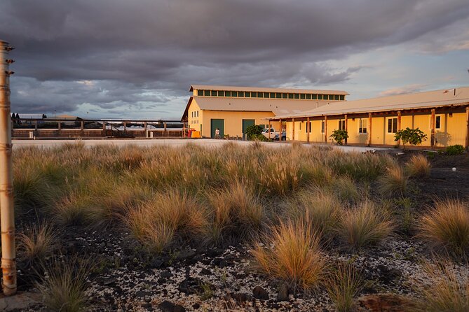 Hawaiian Salt Farm Tour in Kona - The tasting turns a lesson into lunch-table knowledge