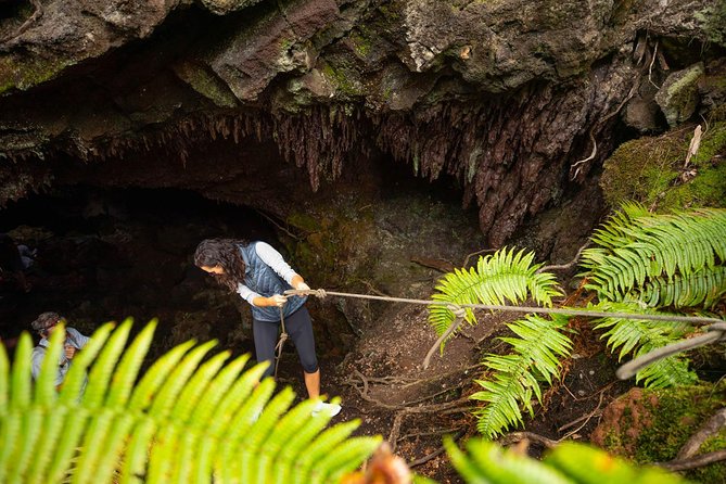 Hidden Craters Hike of Kona - Views above Kona and changing forest
