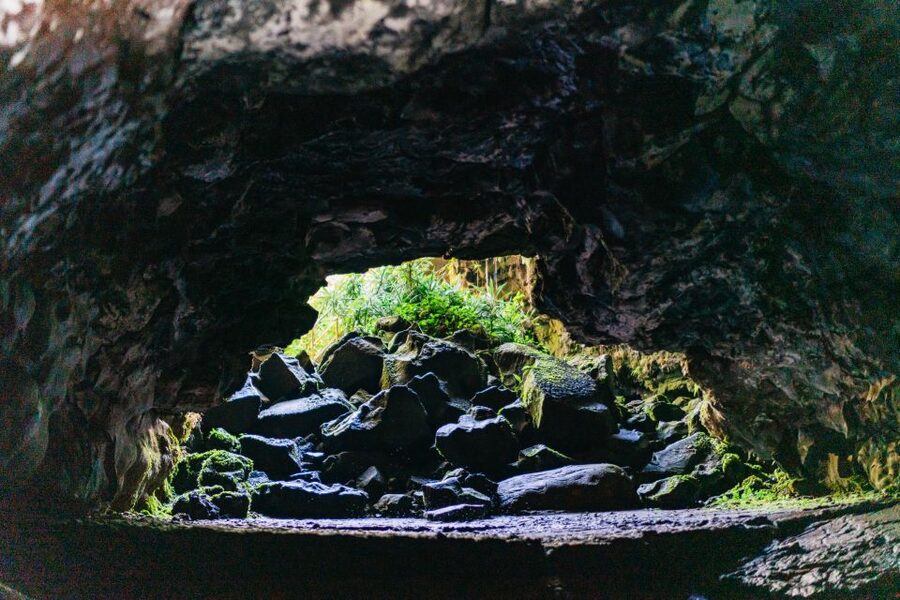 Hilo: Elite Volcano Hike - Timing, pickup, and practical planning