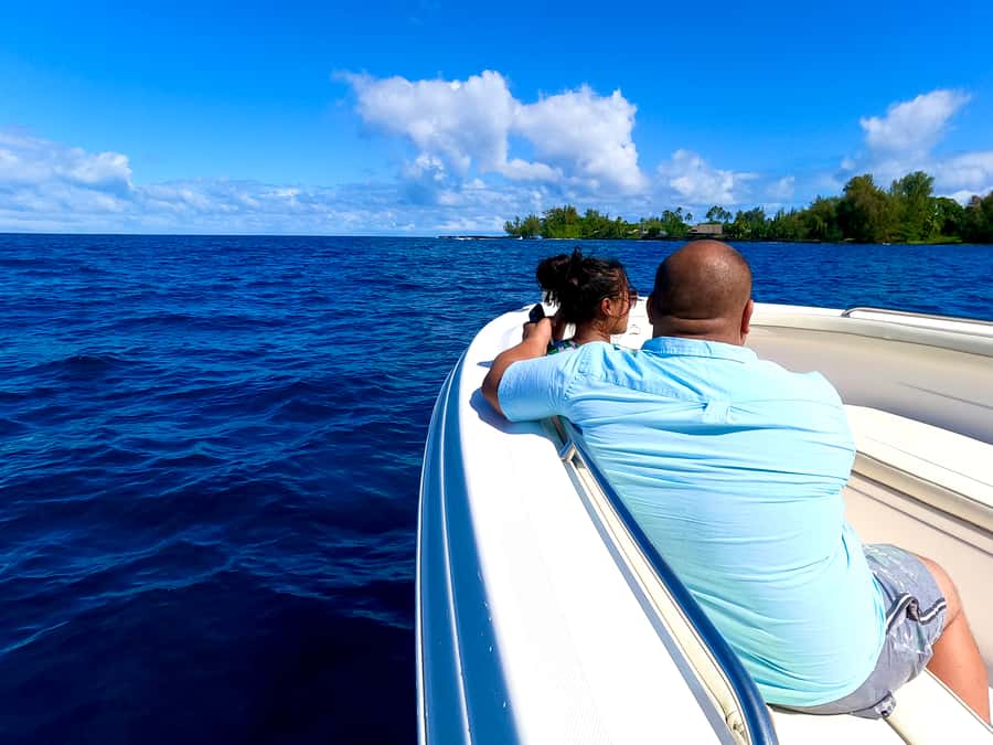 Hilo: Humpback Whale-Watching Cruise with Snacks and Drinks - Meeting the whales off Hilo