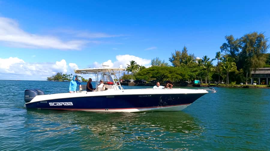 Hilo: Humpback Whale-Watching Cruise with Snacks and Drinks - What happens during the 90 minutes
