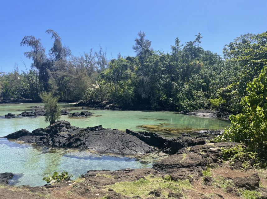 Hilo: Sea Turtle Lagoon and Black Sand Beach Snorkel - Who should book this Hilo outing?
