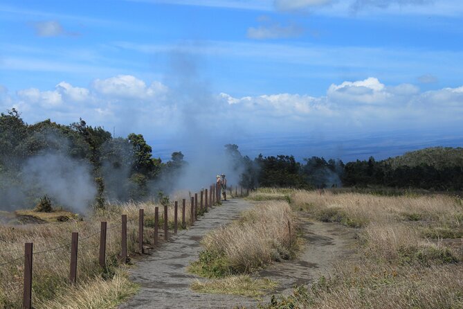 Hilo Shore Excursion: Active Volcano, Lava Tube, Waterfall and Gardens - Chain of Craters Road: a short volcanic sampler