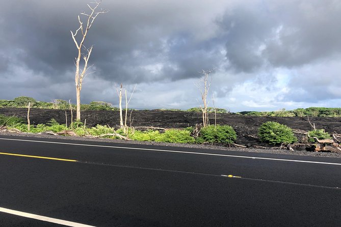 Hilo Shore Excursion: Volcano Safari Lava Caves & Black Sand - Lava Tree State Park and the shapes left behind