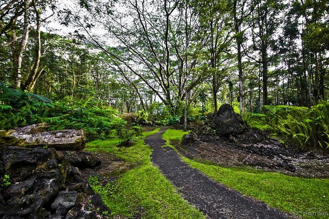 Hilo Shore Excursion: Volcano Safari Lava Caves & Black Sand - Lunch is local, but you pay separately