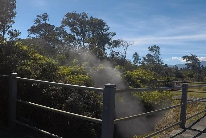 Hilo Shore Excursion: Volcanoes National Park & Black Sand Beach - Macadamia nuts, chocolate, and an easy shopping stop