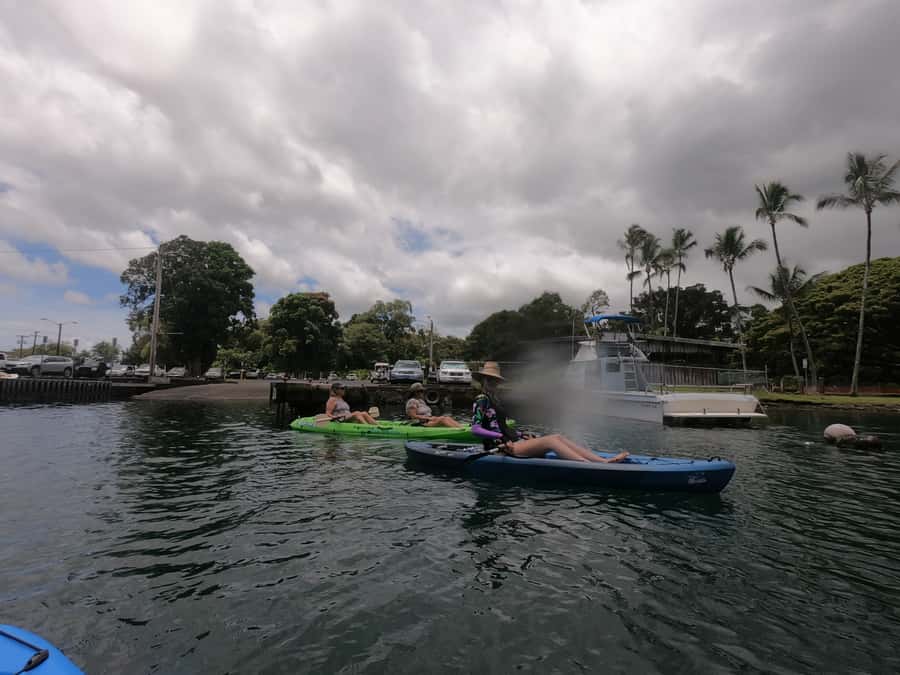 Hilo: Wailoa River to King Kamehameha Guided Kayaking Tour - A gentle route through Hilo’s changing waterway