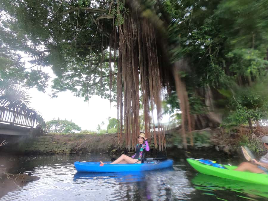 Hilo: Wailoa River to King Kamehameha Guided Kayaking Tour - The King Kamehameha Statue and Hilo’s past