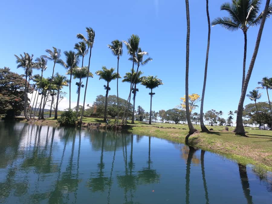 Hilo: Wailoa River to King Kamehameha Guided Kayaking Tour - Who will enjoy this Hilo kayaking tour?