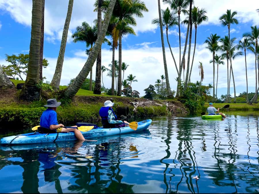 Hilo: Wailoa River to King Kamehameha Guided Kayaking Tour - Under the dragon arches of Hilo’s bridges