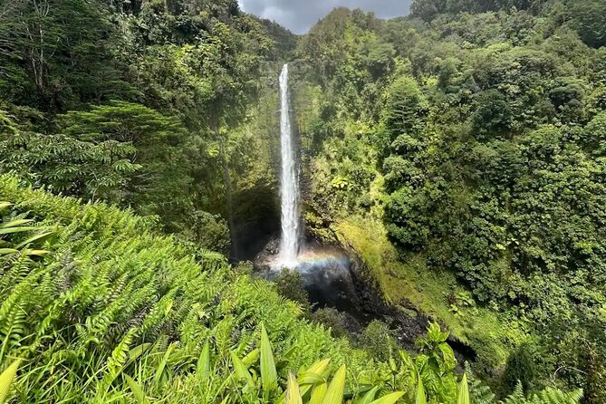 Hilo: Waterfall Hike and Swim with Native Hawaiian - The real fitness level