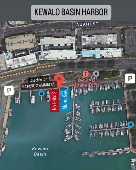 Honolulu: 1-Hour Friday Night Fireworks Cruise with Drinks - What the boat experience is like