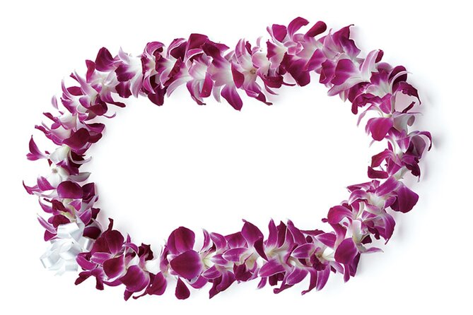 Honolulu Airport: Waikiki Private Transfer With Lei Greeting - The pre-arrival messages reduce airport guesswork