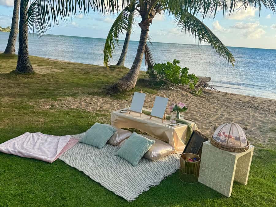 Honolulu: Beachside Luxury Picnic & Paint - Key points at a glance