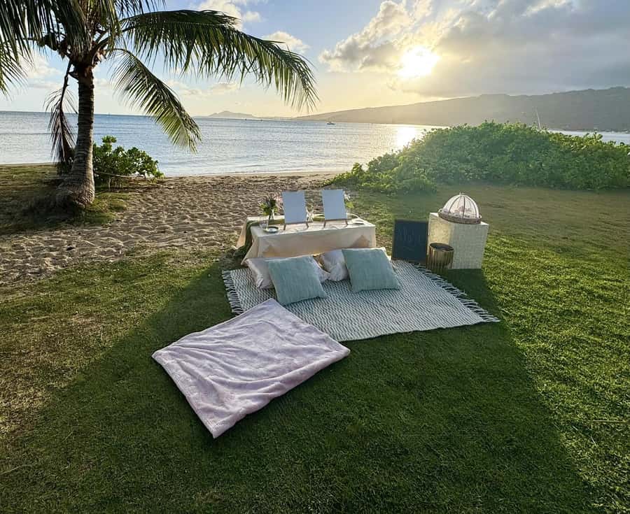 Honolulu: Beachside Luxury Picnic & Paint - Choosing between a blank canvas and a guided outline