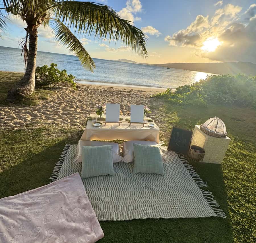 Honolulu: Beachside Luxury Picnic & Paint - The picnic: charcuterie, drinks, and a comfortable place to linger
