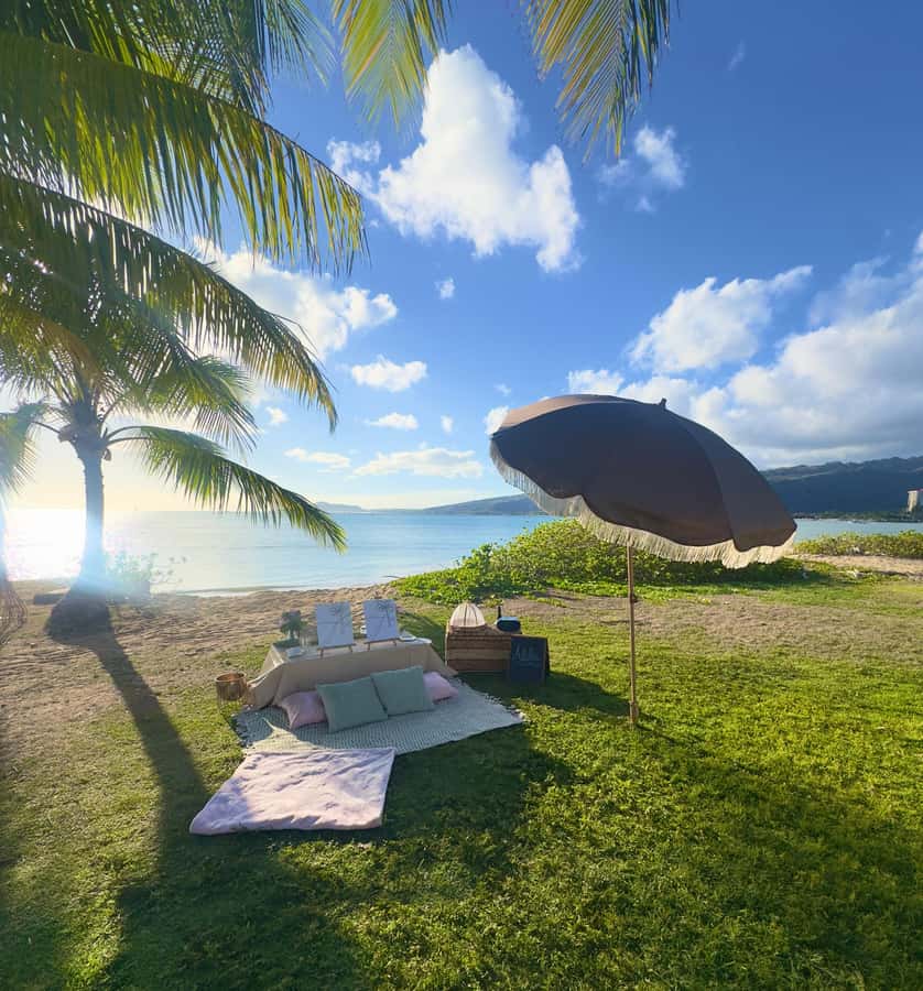 Honolulu: Beachside Luxury Picnic & Paint - Timing, parking, and practical planning