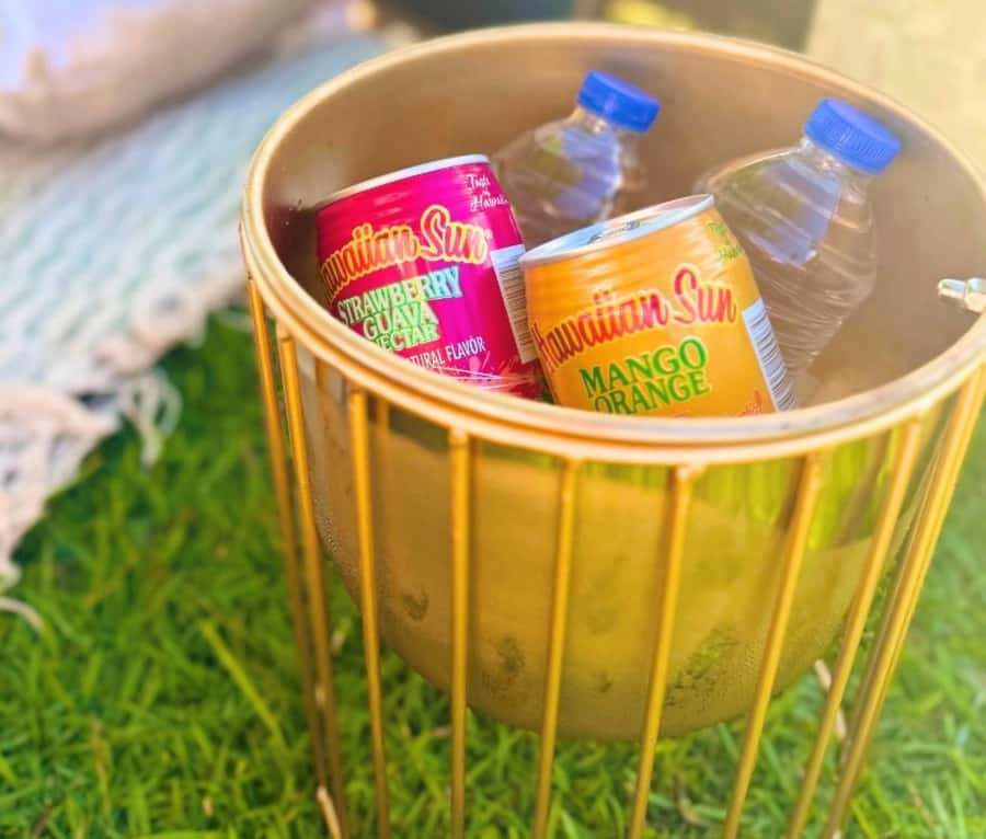 Honolulu: Beachside Luxury Picnic & Paint - What happens when you arrive