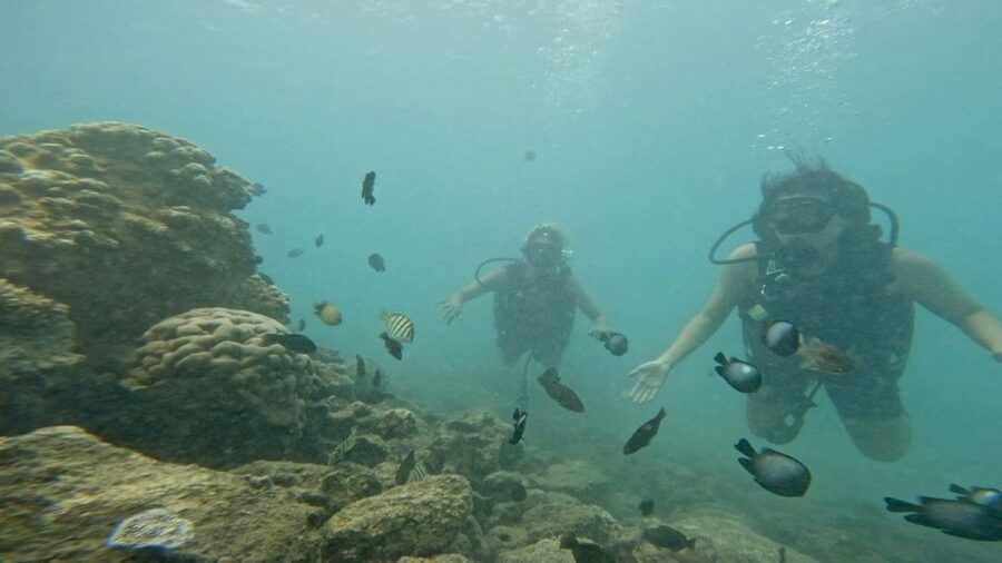 Honolulu: Beginner Scuba Diving Tour With Free Videos - Free videos add real value